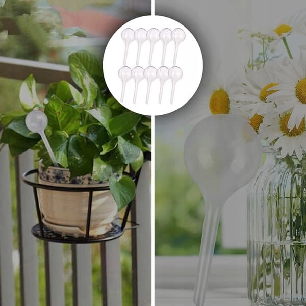 Vattenkula för hushåll för blommor och växter, 8-pack
