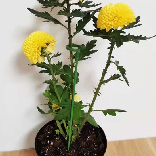 Växtstödset - Robusta växtstöd - 15 delar - 27 cm