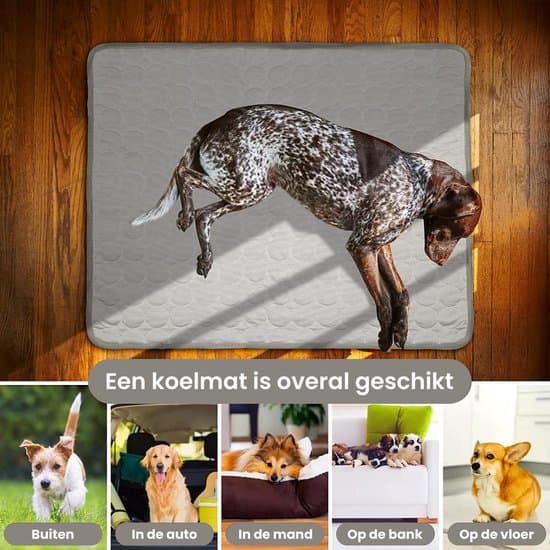 Køletæppe til kæledyr (til katte og hunde) | 60 x 50 cm Grå | Medium