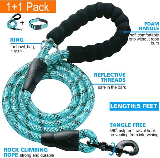 Reflekterande hundhalsband - Mjuk neoprenfoder - Andningsbart justerbart nylonmaterial - Blå - Halsband + koppel - Storlek S
