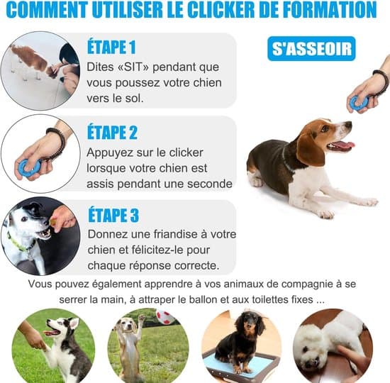 2-pack hundklickare, elastisk handledsrem, stor knapp, professionell tränare (blå+röd)