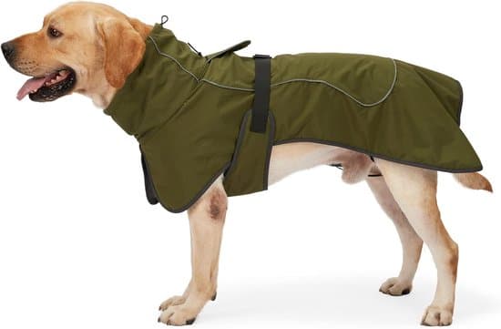 Vattentät hundjacka med varmt fleecefoder och reflexdetaljer, grön, storlek M