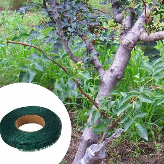 2-pack växtband Trädgårdsbindningsrep Stödkablar 3cmx50m Grön