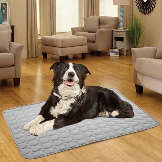 Køletæppe til kæledyr (til katte og hunde) | 60 x 50 cm Grå | Medium