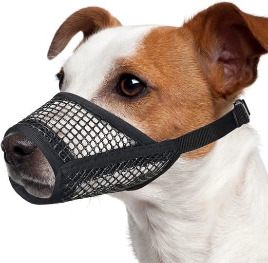 Hundemundkurv - Blødt net - Størrelse S - Sort