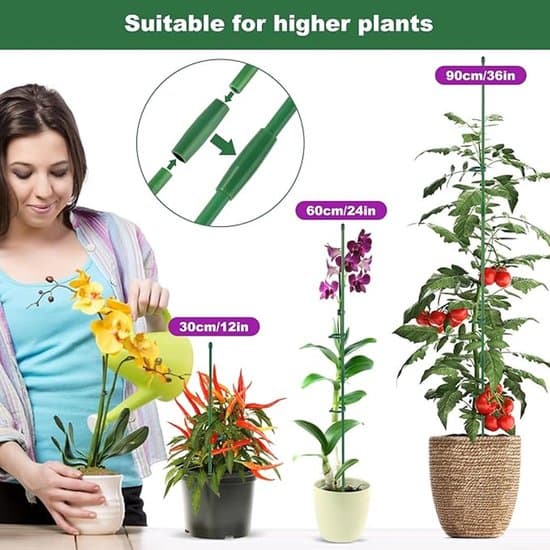 20-stjälk 30 cm plastväxtstöd - med ringar/klämmor