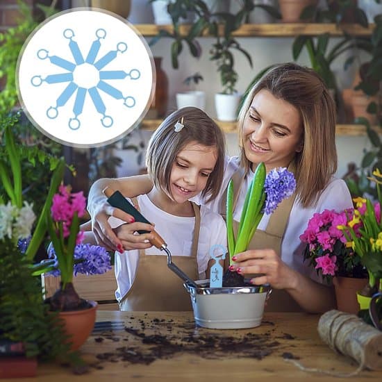 100-styks blå udendørs planteophængs- og mærkningsmærker