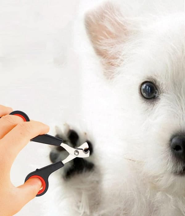 Professionel negleklipper i rustfrit stål til katte og små hunde