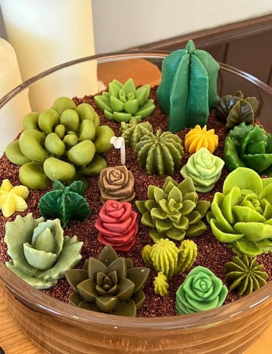 3D Silikon Blomma Suckulent Växt Ljusform & Hartsgjutningsset