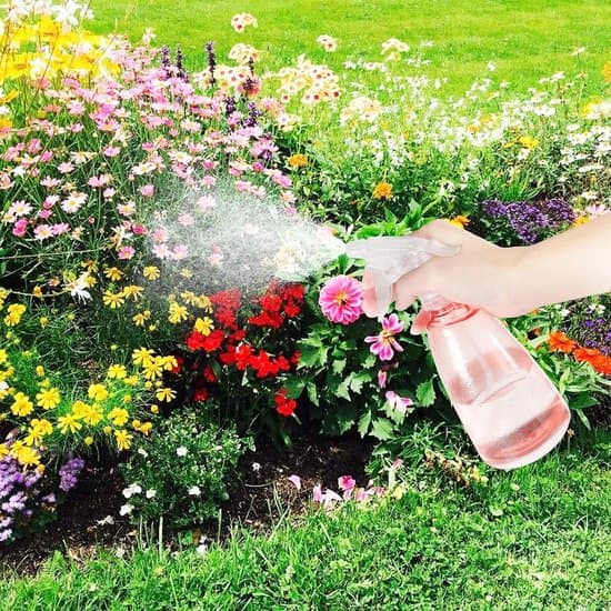 Påfyllningsbara sprayflaskor - 500 ml - 3 stycken - Transparent - Plast