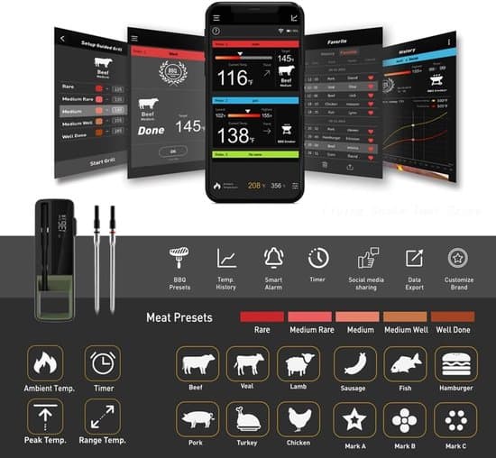 Trådlös grilltermometer - Grilltermometer med app - Ugnstermometer - Grillpryl