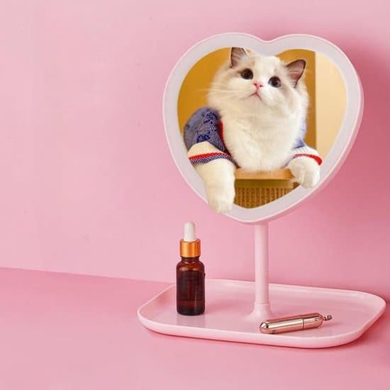 Et hjerteformet makeupspejl til kvindelige studerende, med tre dæmpningsniveauer og et LED-lys (pink).