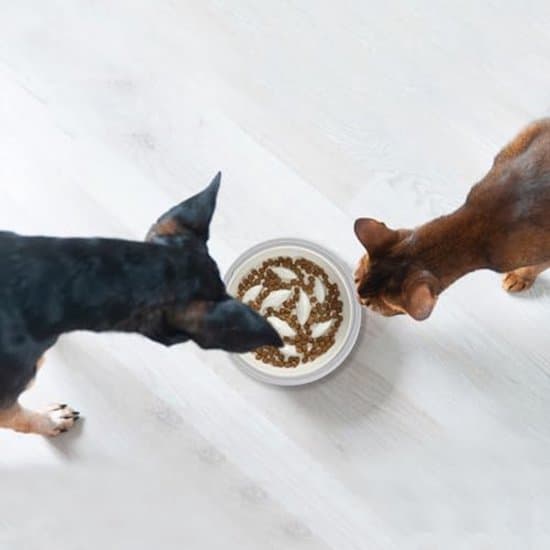 Rund kattefodermåtte - Vandtæt silikone kattefodermåtte, velegnet til hunde og katte, skridsikker og nem at rengøre.