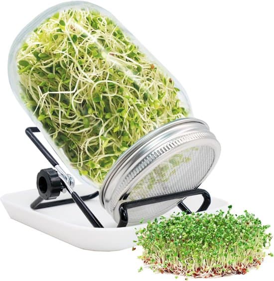 Spireglas sæt, Spireglas til spiring, Udstyret med filterlåg af rustfrit stål, Justerbar holder