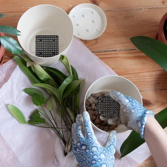 Urtepotte med netmåtte - Bonsai net - 120 stykker - Sort - Plastik