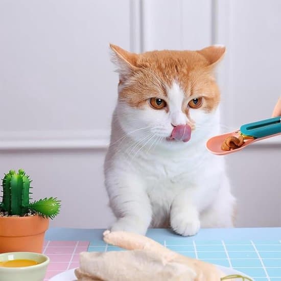 2 stk. kattelækkerier ske slikbar kattestrimmel ske kattestrimmelklemme til vådfoder kattefoder snacks og strimler