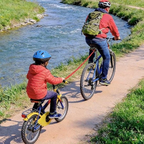 Børnecykelbælte, Elastisk cykelbælte, Elastisk cykelbælte, Bæreevne 500 lbs