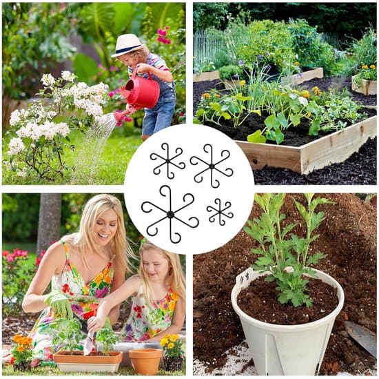 Plantestøtter til blomster og planter - 20 stk. - Sort