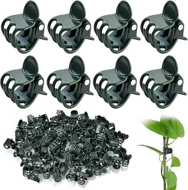 Kasviklipsit, orkidean tukiklipsit, 50 kiipeilykasviklipsiä, kasvien tukiklipsit