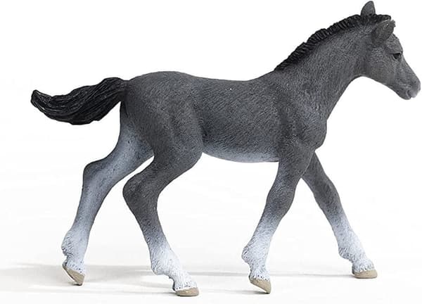 A THRAKEN FOAL