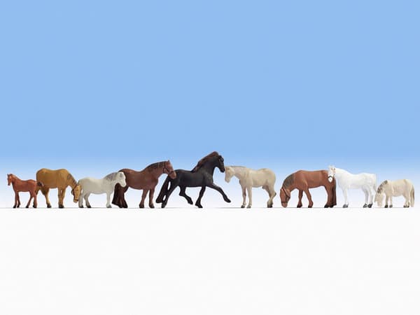 NOCH 15761 Horses