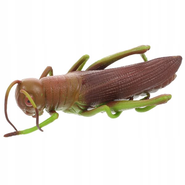 SOFT GRASSHOPPER – EDUCATIONAL TOY AND ROOM DECORATION