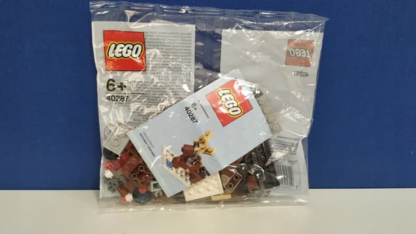 LEGO 40287 Mini-Build Sled
