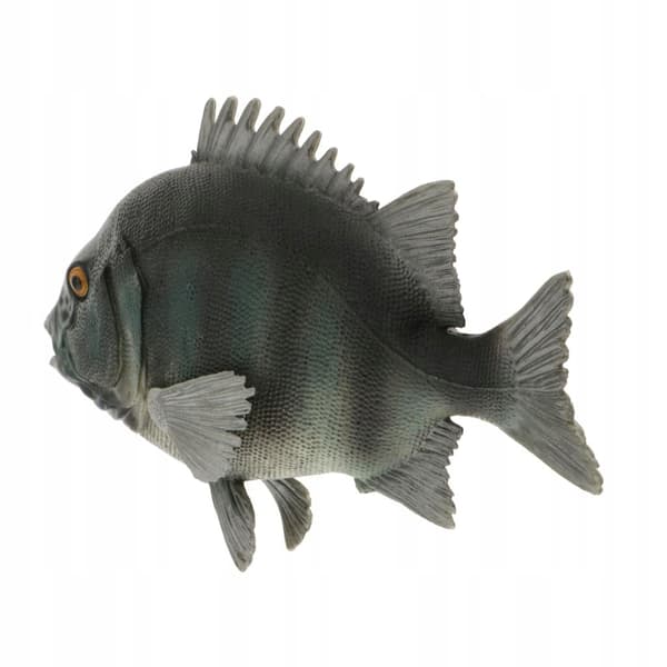 Realistic Static Ocean Animal Model Toy for Children – Gift: Stone Snapper
