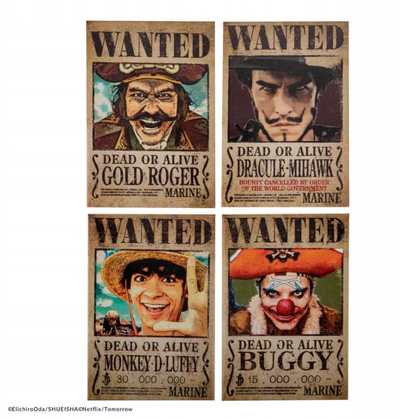 Set of 4 magnets, One Piece