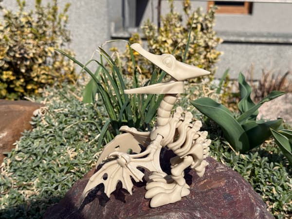 3D Pteranodon Skeleton + Nest with Eggs – a movable, articulated model