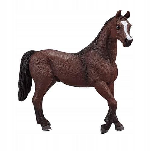 Mojo, a chestnut Arabian stallion