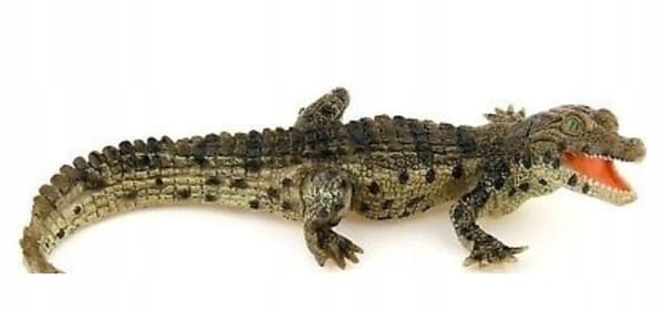 YOUNG CROCODILE [FIGURINE]
