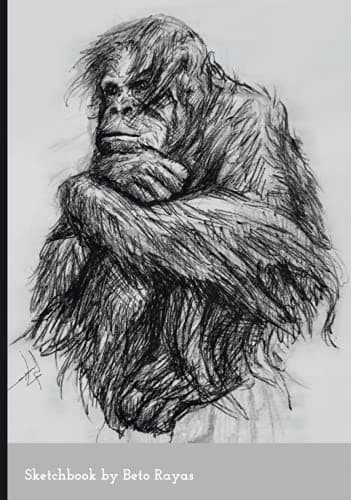 Sketchbook: A great tool for designing beautiful compositions and practising sketching