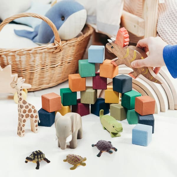 12 EDUCATIONAL TURTLE FIGURINES FOR CHILDREN