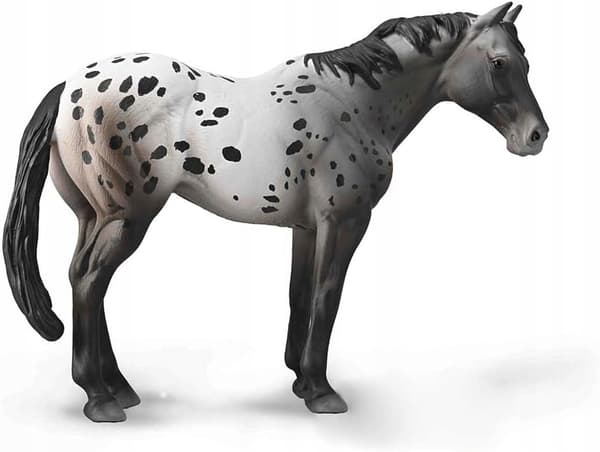 BLUE DERESZ APALOOSA