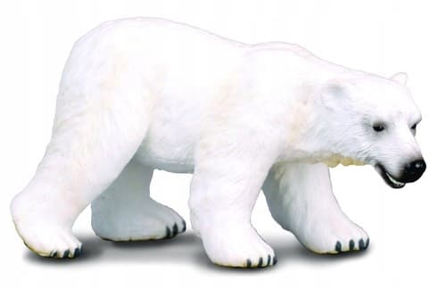 Polar bear L .