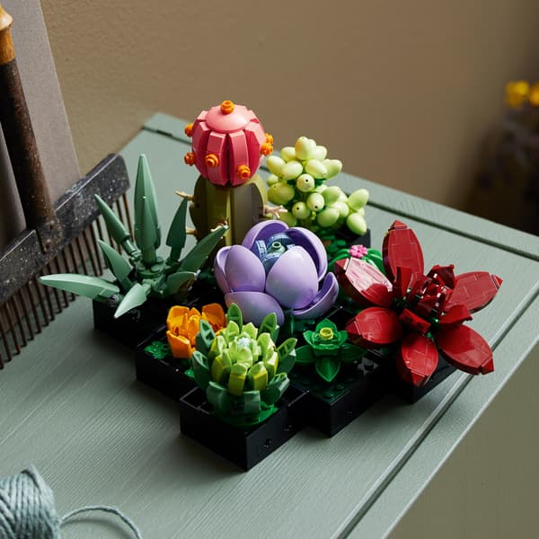 LEGO Botanicals 10309 Succulents