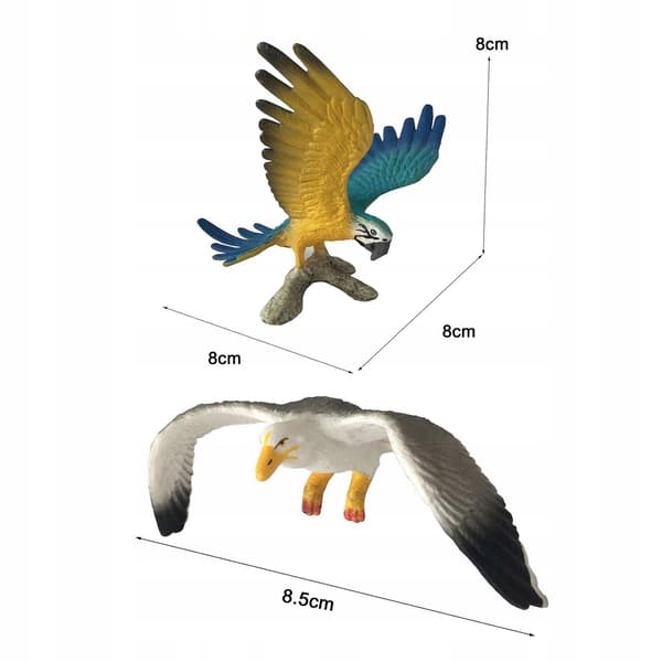5-Piece Bird Simulation Model Educational Toy Collection – A-Style Decoration