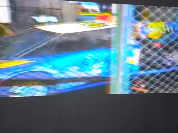 CRIME KILLER PSX 3XA – READ THE DESCRIPTION!