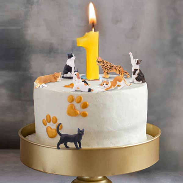 Toymany: 8 Realistic Plastic Cat Figurines – Miniature Toys and Decorations