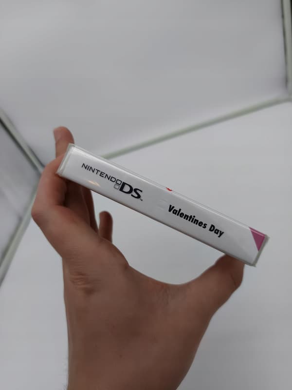 VALENTINE'S DAY NINTENDO DS
