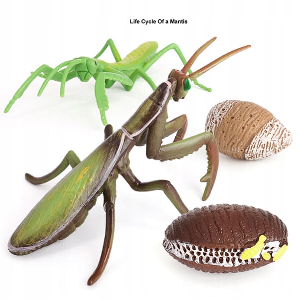 Animals Simulation Life cycle Life Action figures Figure