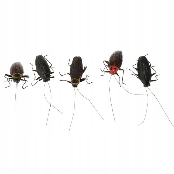 5-Piece Creative Best-Selling Artificial Cockroach Animal Model Simulation Set
