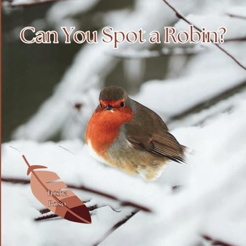 Can You Spot a Robin?