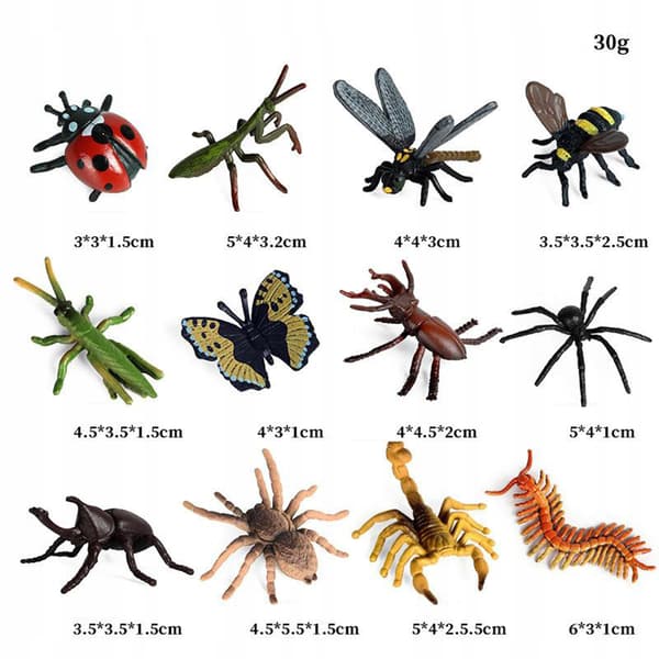 Insect Model Figurines – 12 PIECES – Mini PVC Insect Simulation Models – Toy Animals