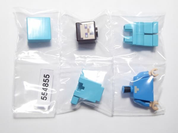 LEGO Minecraft Steve Figure (21124/21117)