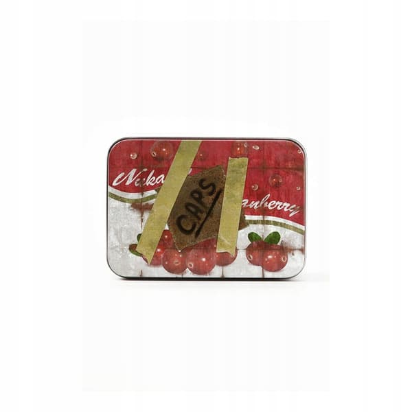 Fallout ‘NUKA CRANBERRY’ Collector’s Edition Console