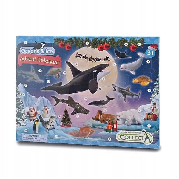 Advent calendar. Sea creatures