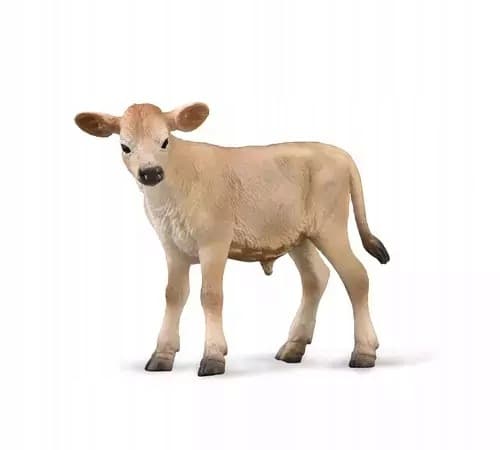 A Jersey calf.