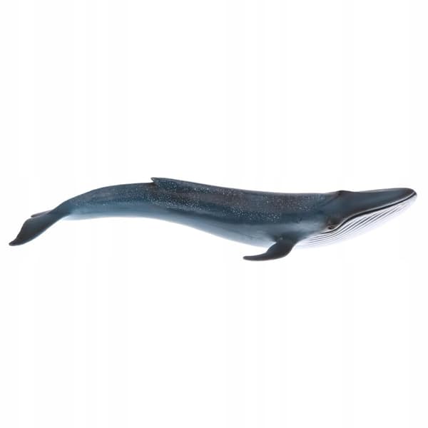 Realistic animal whale models Action figures Children
